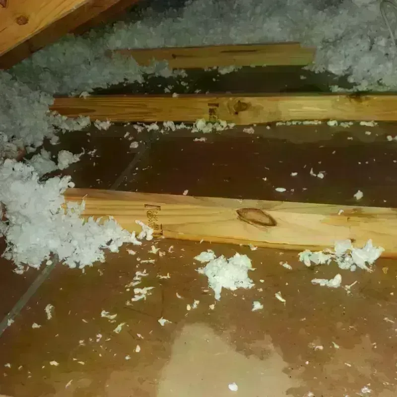 Attic Water Damage in Spur, TX