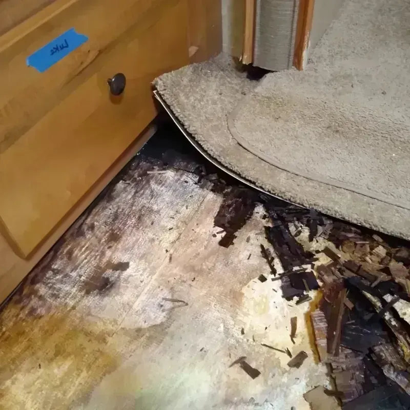 Wood Floor Water Damage in Spur, TX